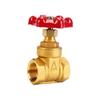 ZHONGYUROPENETBELT Brass Internal Thread Water Gate Valve