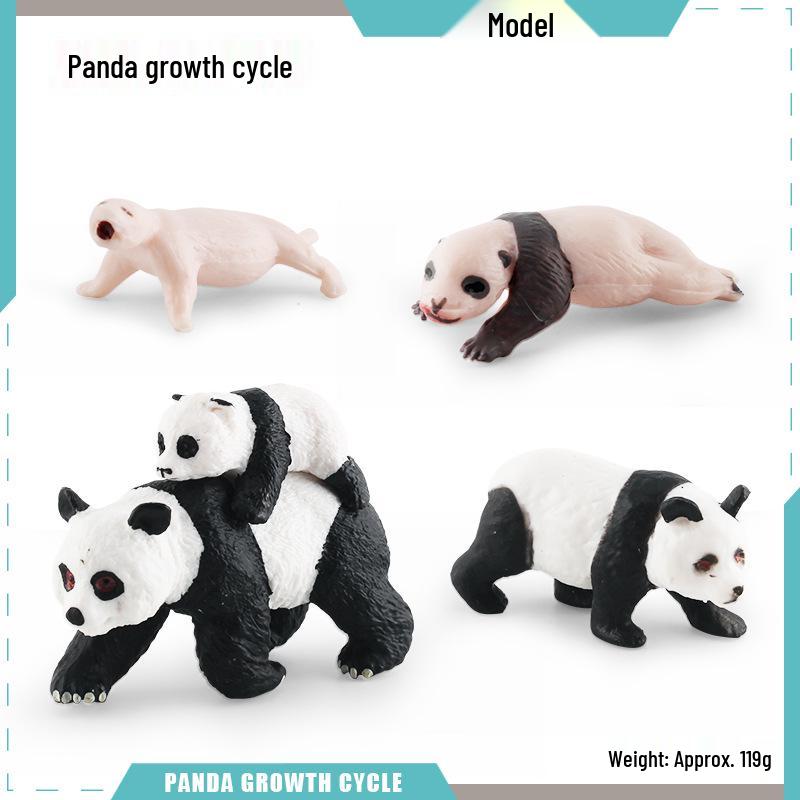 Animal Growth Cycle Models: Chicken, Duck, Goose, Butterfly, Turtle, Frog Montessori Teaching Figurines