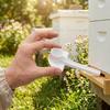 20Pcs Tasteless Bee Water Feeder Plastic Multifunction Bee Water Feeder  Beekeeping
