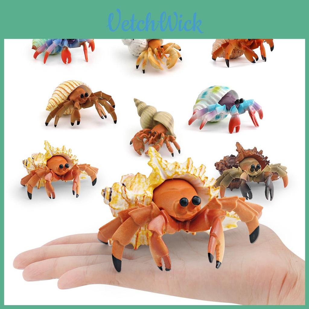 Granchi eremiti marini Modello di granchio in PVC per giocattoli educativi per bambini e decorazioni oceaniche