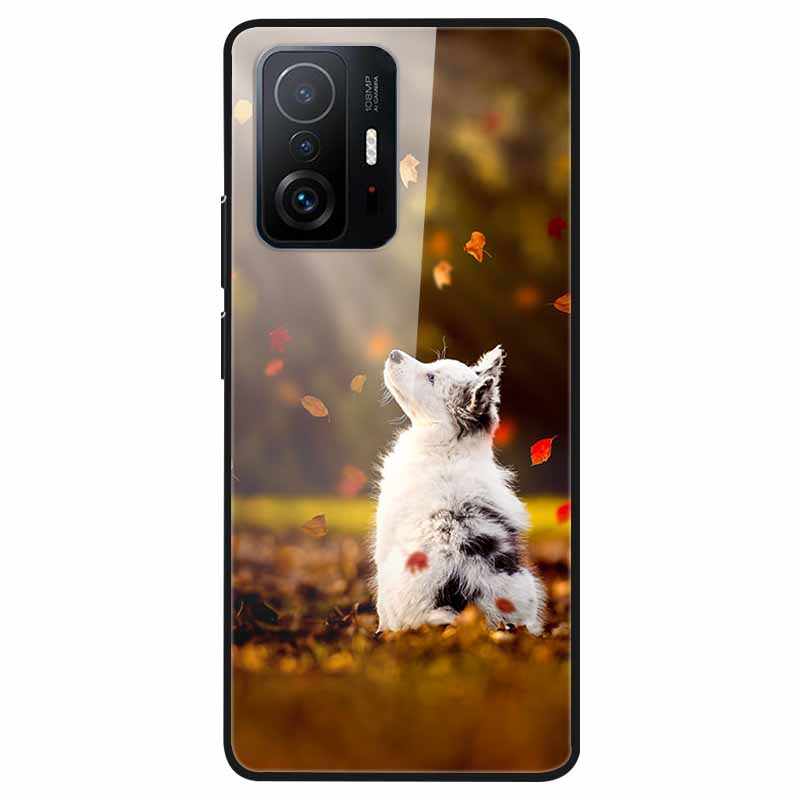 For Xiaomi 11T Tempered Glass Case Soft Bumper Hard Funda For Xiaomi mi 11T Pro Phone Case 11 T 11T Pro 11TPro Back Cover Shells