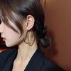 High-end Metal Circle Earrings Women's New Light Luxury Niche Design Temperament Exaggerated Earrings Earrings