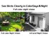 Solar-Powered Hummingbird Feeder with Camera & Remote Control