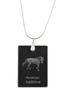 American Saddlebred – Crystal Pendant with Horse, Silver Necklace with Photo |