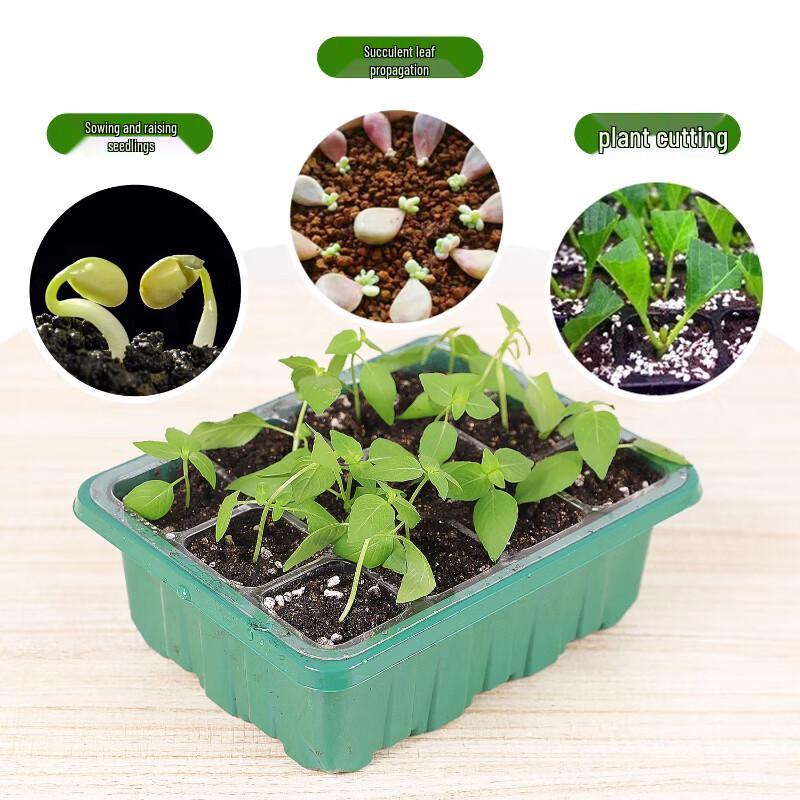 Maididuo 6-Hole Seedling Starter Tray Set
