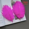 10pcs Feathers Ostrich 15-20cm Royal Blue Black White Pink Trim For Sewing Clothes Fabric Outfit Plumas Crafts Mixed Colors Hat