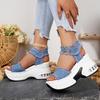 Women's Retro Sneakers Fringed Open Toe Wedge Platform Sandals