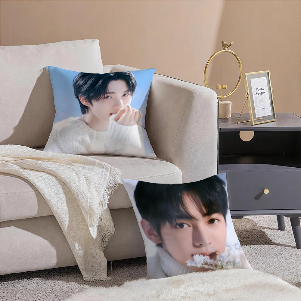 Korea KPOP TTWS YYOUNGJAE Cushion Cover Pillowcase Short Plush Invisible zipper Room Sofa Cushion Cover