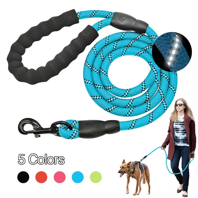 outdoor dog leash run