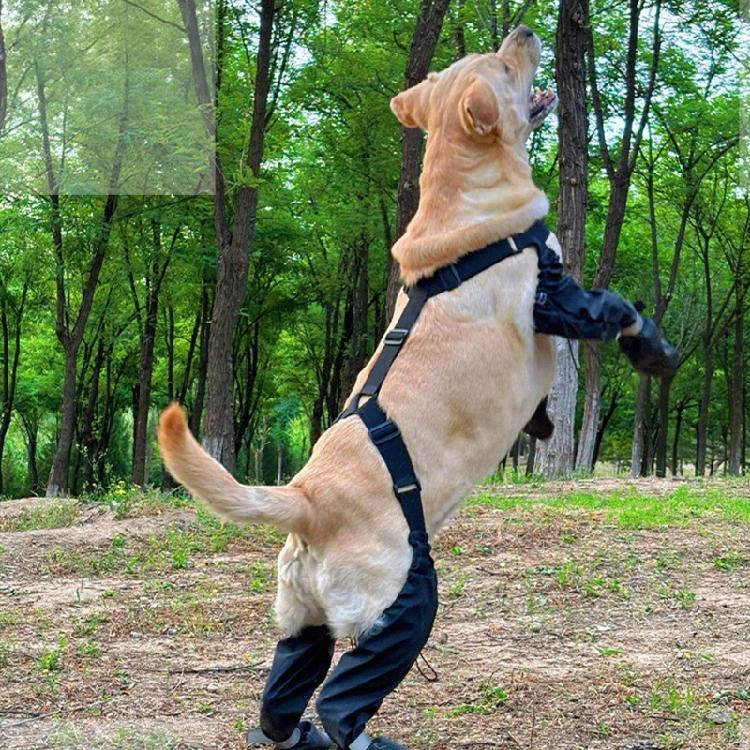 Fashion Dog Shoe Suspender Boot Waterproof Pet Shoe Snow Rain Dog Suspender Boot For Daily Walks