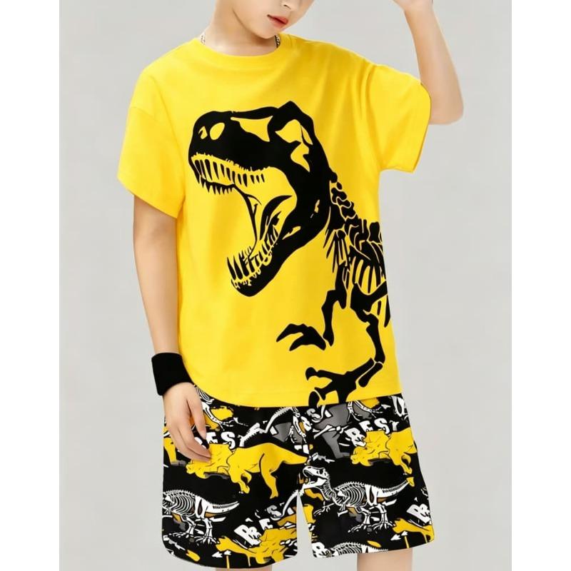 Children s 2-piece suit short-sleeved T-shirt + shorts and shorts summer suit 100