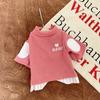 Letter Embroidery Dog Shirt for Small Dogs Autumn Soft Dog Clothes Fashion Puppy Hoodies Cute Warm Cat Pullovers Pet Sweatshirts