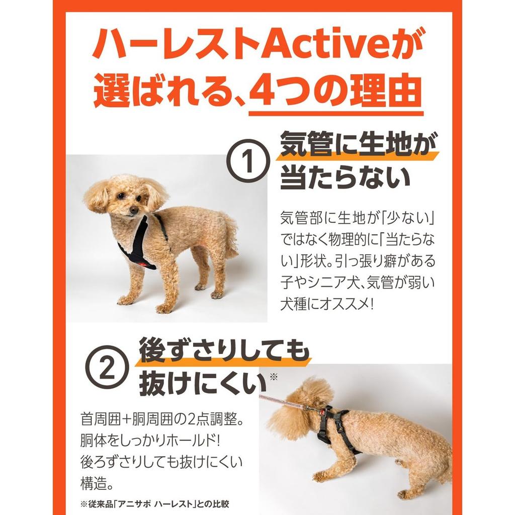 anifull Herest Active Dog Harness XS Size, Trachea-Friendly Walking Harness, Neck-Relief No-Choke Design for Small Dogs
