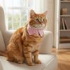 Adjustable Cat Dress Collar Soft Comfortable Pet Tie Skin Friendly Puppy Choker  Daily Wear