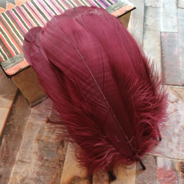 20pcs Natural Goose Feathers 31 Color Loose Goose Feathers 12-20cm Long Christmas Decoration Clothing Shoes Hat Accessories