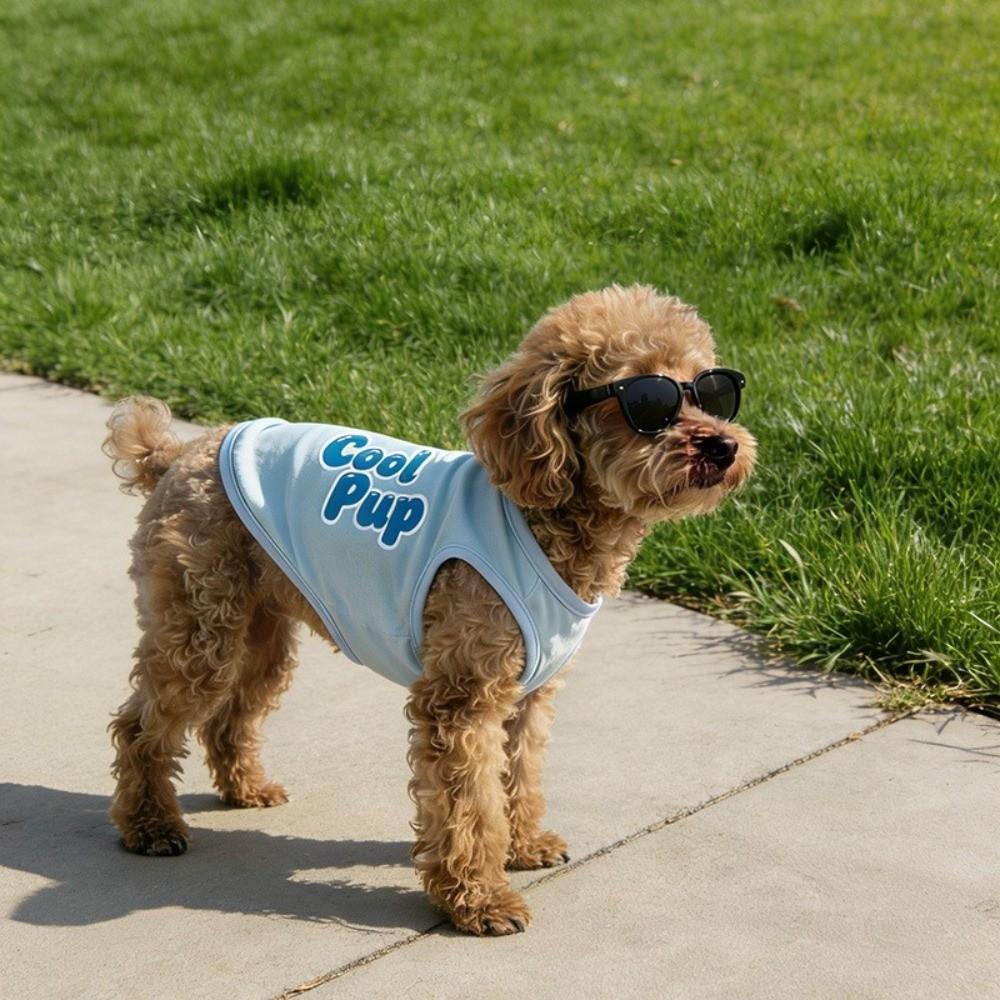 Thin Breathable Dog Summer Clothes Soft Fabric Cooling Pet Vest Mesh Dog Vest  Casual Outfit