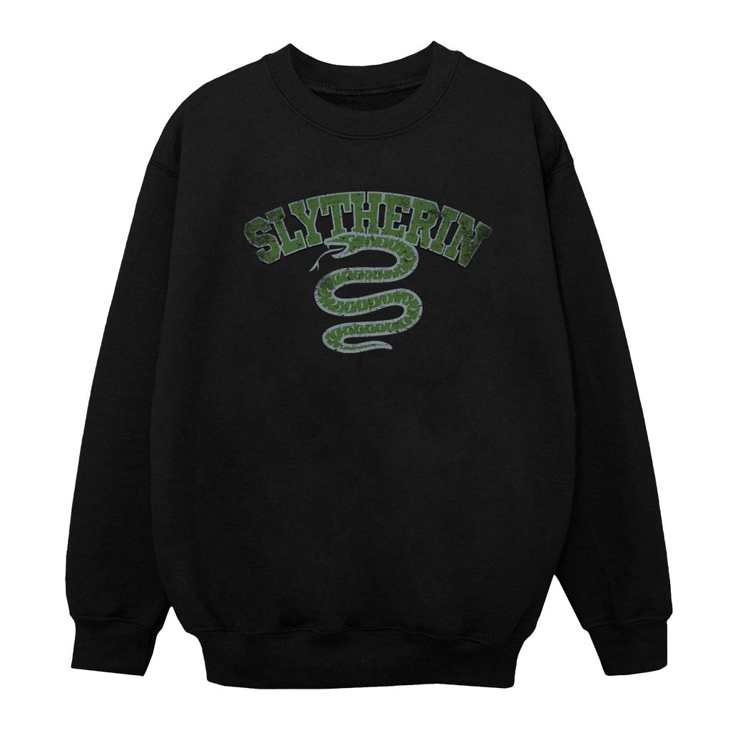 HARRY POTTER Boys Slytherin Sport Emblem Sweatshirt