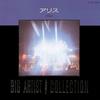 CD ALICE SHINJI TANIMURA REI NAKANIS AliceBIG ARTIST BEST COLLECTION CT259044 1989 Japan Japanese PopRock Used