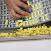 Hundeknochen-Silikonformen, antihaftbeschichtet, großes Fassungsvermögen, lebensmittelecht, Mini-Leckerli-Formen für Gummibärchen, Pralinen, Süßigkeiten