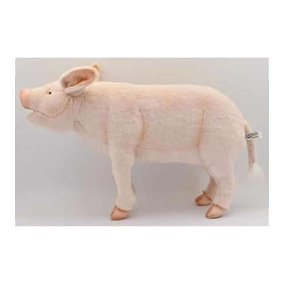 BH6347 HANSA Pig 63