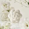 Donggubat White Bloom Perfume Bar Set (2 Perfume Bars, Silver Petal Soap Dish, Gift Package)