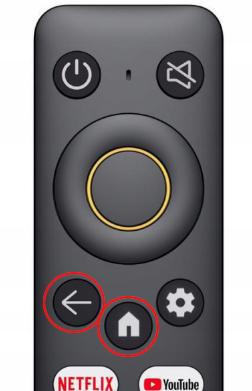 Pilot Do Tv Model Rmv2105
