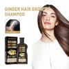 Ingwer Haarpflege Shampoo Tiefenreinigung Und Feuchtigkeitspflege Reparatur Weich Und Fluffig
