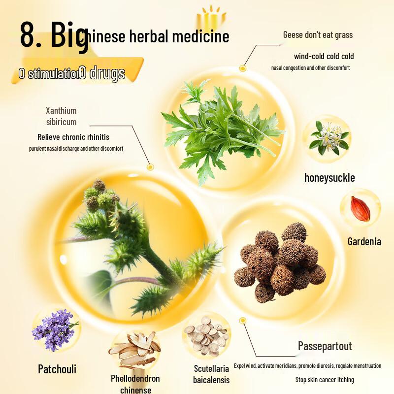 Kweihua Cang Er Zi Nasenpflaster