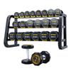 Xilu 210kg Round Head PEV Dumbbell Set with Rack and Mat