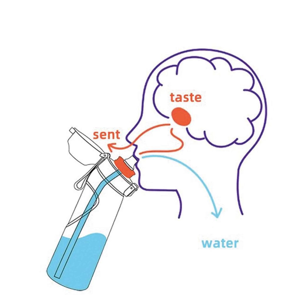 Water Bottle Taste Pods Pack | Accessories Flavoured Water Bottle S Tarter Set Flavors Pods
