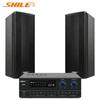SHILE Professional Conference Room Wall-Mounted Bluetooth Speaker System CN Plug (adapter Included)