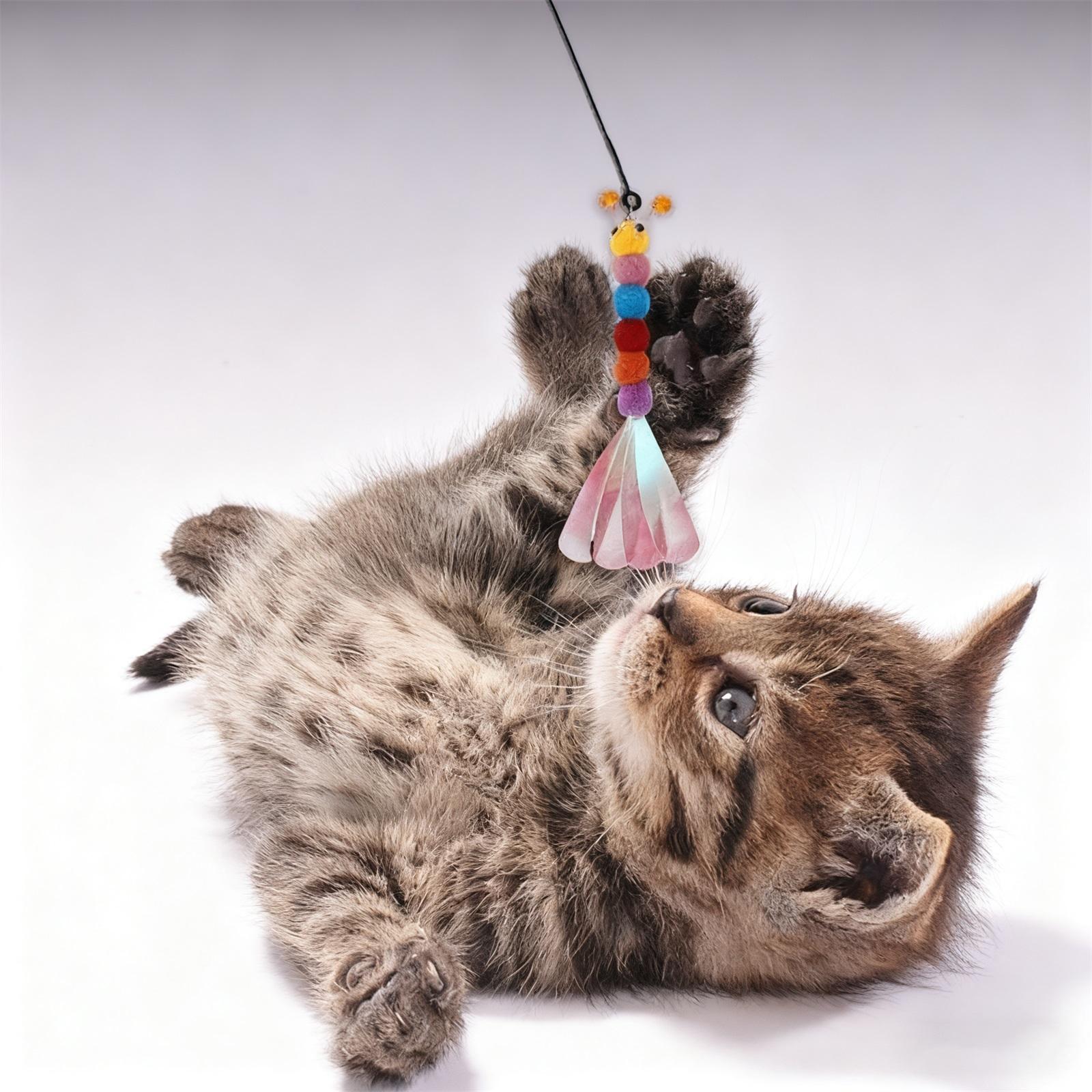 

2pcs Wand Replacement for Pet Interactive, Wand Refill Attachments for Indoor and Outdoor s, Colorful erpillars One Size