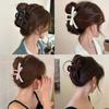 Plastic Hair Clips Large Size Barrettes Fashion Hair Claw Clip
