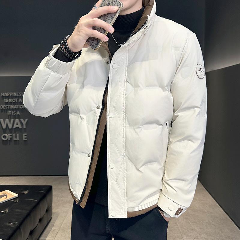 Men's Down Jacket New Winter Solid Color Stand-up Collar Thickened Warm White Duck Down Jacket Cold Jacket Men's Top