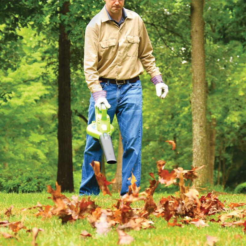 Greenworks 40V Cordless Blower Vacuum CN plug (adapter included)