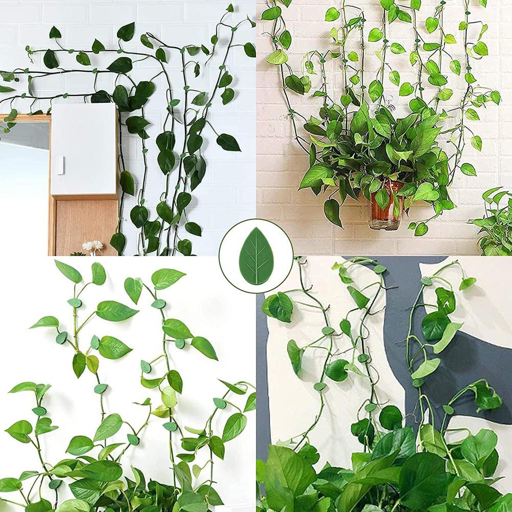 New Invisible Plant Climbing Wall Fixture Clips 10-50Pcs PcsRattan Vine Bracket Fixed Buckle Leaf Clips Traction Holder Garden