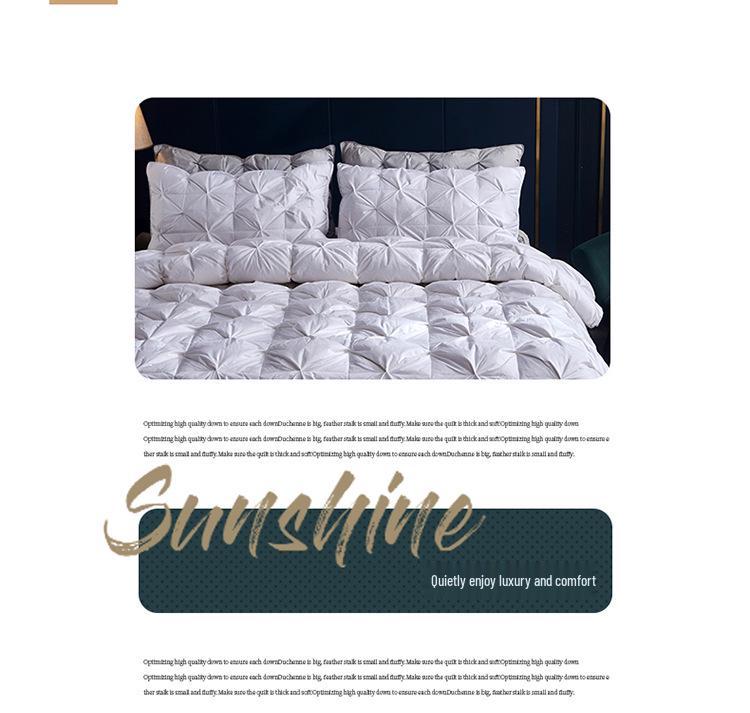 Five-Star Hotel Winter & Spring Down Comforter - Non-Down Duck Feather Core