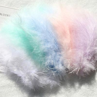 50 Pezzi Piume Naturali Piccole Galleggianti Colorate Piumette per Artigianato Matrimonio Gioielli Decorazione Casa Piume.