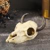 Kreative 3D-Schädel-Reptilienhöhle Ausgeschnittenes Reptilien-Kletterunterschlupf Aquarien-Enthusiasten