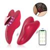 Heart-Shaped Wearable Vibrator with Remote Control & App for Women's Pleasure, Portable Adult Toy