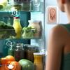 Refrigerator Odor Eliminator Refrigerator Purifier Air Fresher For Fridge Refrigerator Deodorizer Refrigerator Odor Remover