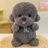 Stuffed Animal Plush Dog Toy Simulation Puppy Plushies Bichon Frise Plush  Xmas Birthday Gifts