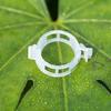Plant Support Clips Reusable Plastic Garden Clips Tomato Vine Grape Flowers Vegetable Stems Secure Grip Retaining Clips