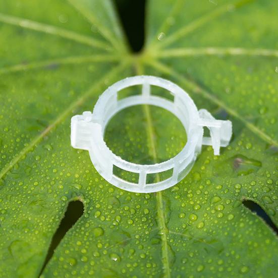 Plant Support Clips Reusable Plastic Garden Clips Tomato Vine Grape Flowers Vegetable Stems Secure Grip Retaining Clips