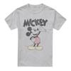 Mickey Mouse & Friends Mens Washout Heather T-Shirt