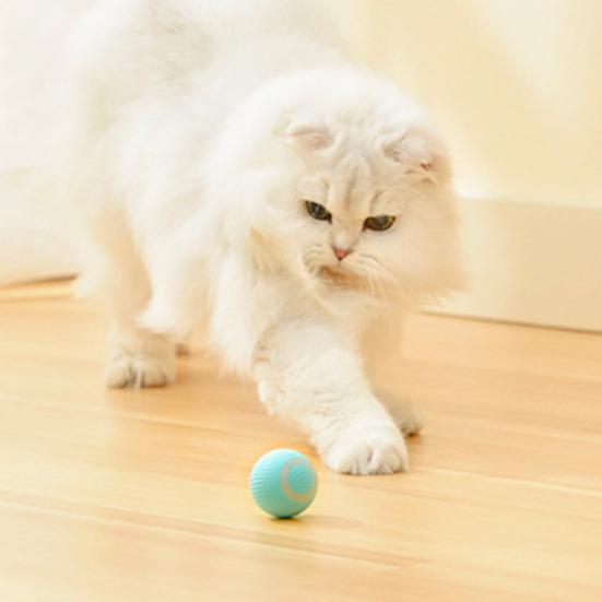 Yousheng 1 Set Cat Toy Interactive Hunting Cover Cat Ball Toy Set Rechargeable Quiet Rolling Cat Ball Pet Supplies