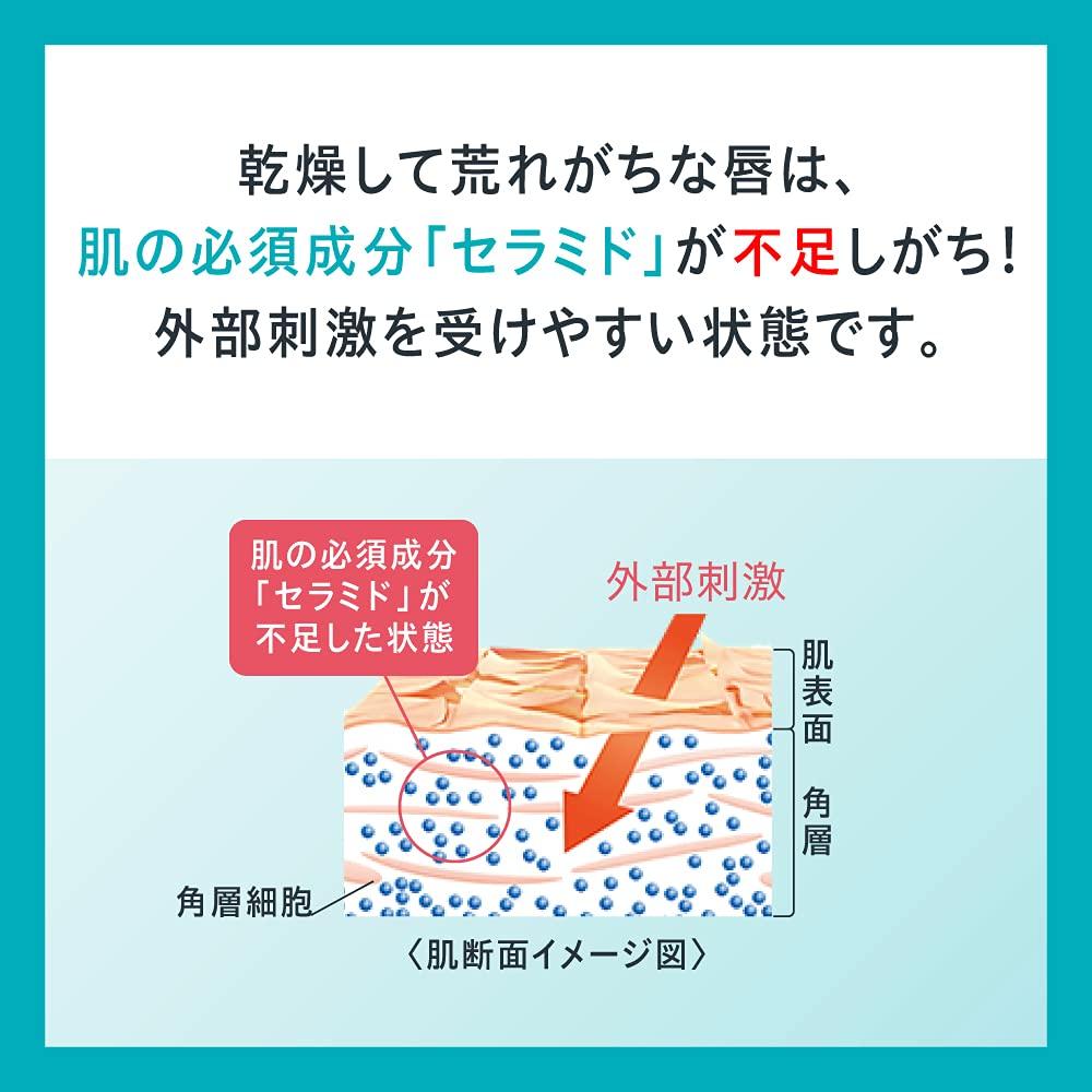 Curel Lip Care Balm, Fragrance-Free, 4.2g (x 1)