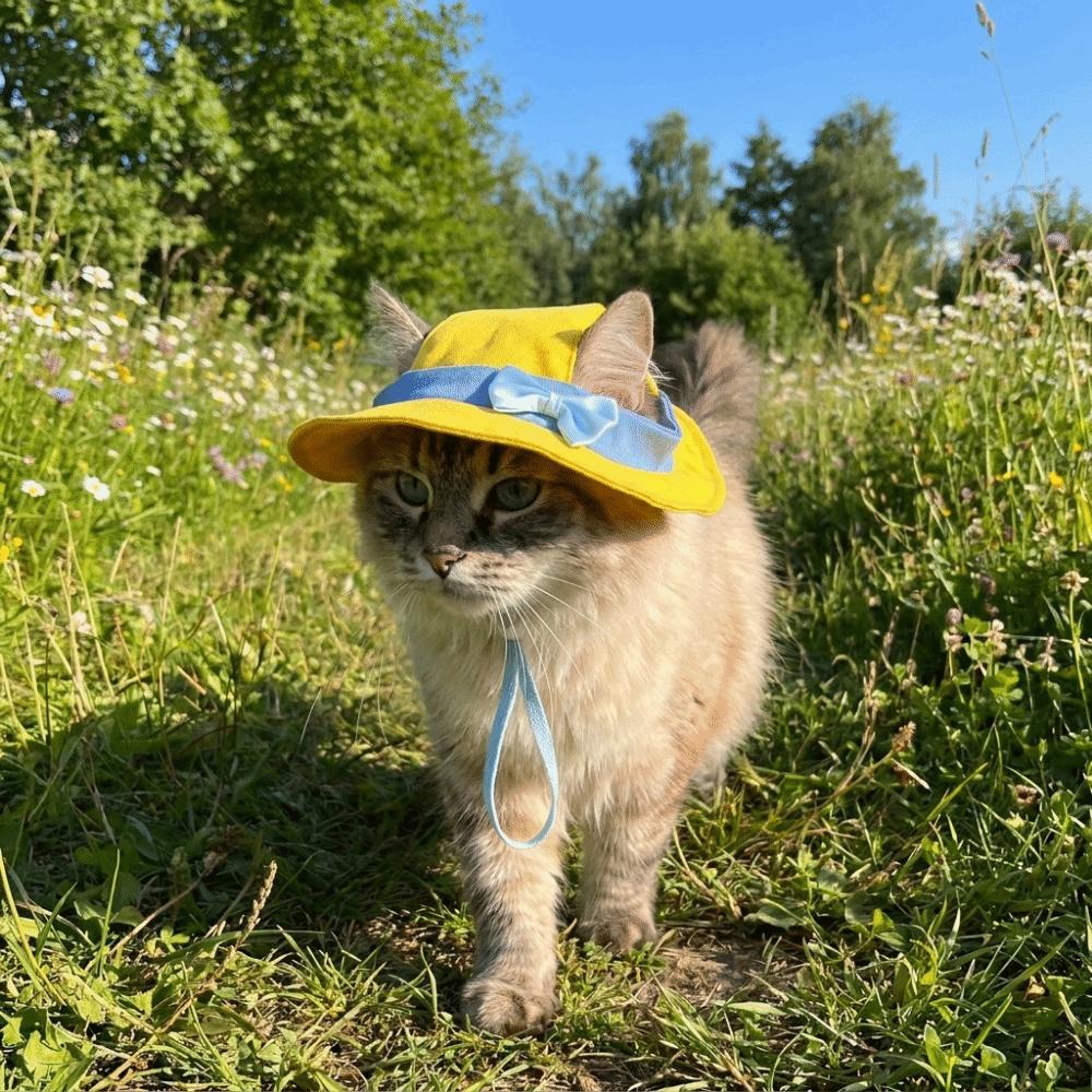 UV Protection Cat Fisherman Hat Adjustable Straps Cats Sun Cap Pet Sun Hat Beach Activities