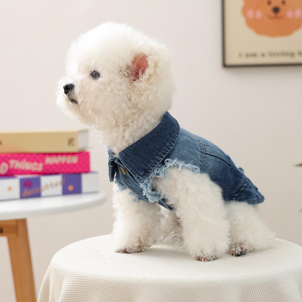 Pet Clothes Autumn and Winter New Small Dog Puppies Happy Dog Cat Warm Comfortable Retro Cool Denim Clothes
