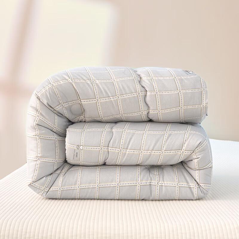 Paul David Yage All-Season Warm Duvet Quilt